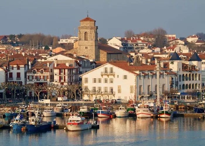 Plein Centre, Lumineux Et Spacieux Appartement